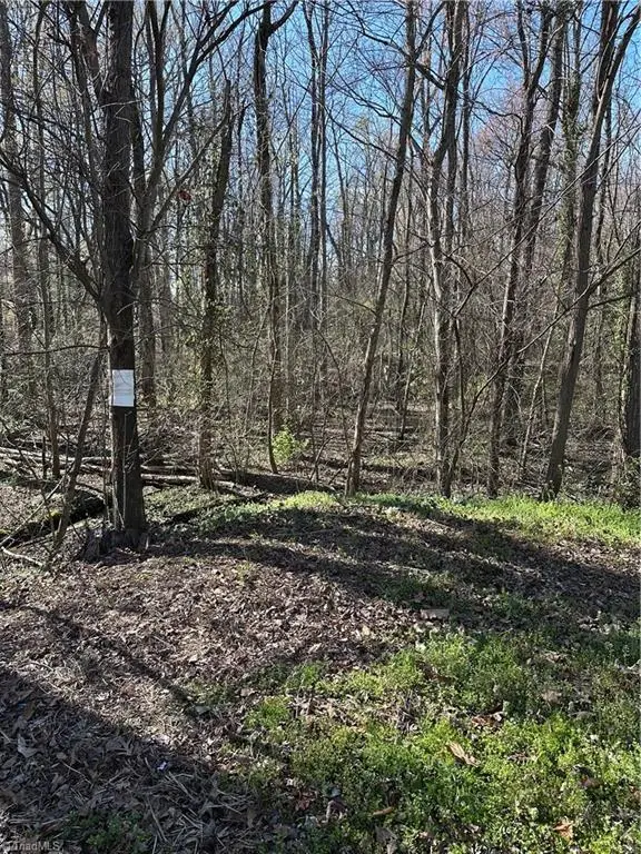 2110 Meadowbrook Terrace, Reidsville, NC 27320 - #1