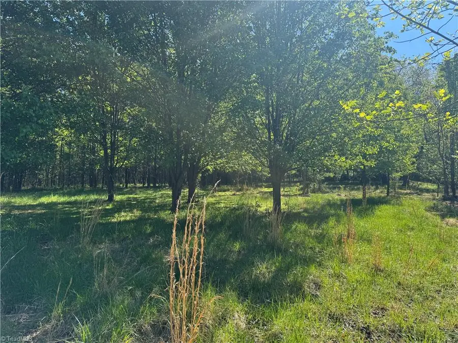 00 Statesville Road, North Wilkesboro, NC 28659 - #2