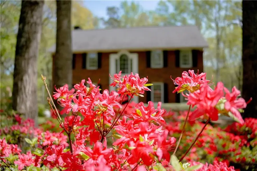 4413 Bashavia Drive, Pfafftown, NC 27040 - #2