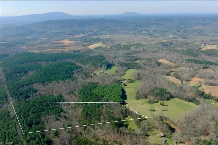 1019-3 George Road, Westfield, NC 27053 - #3