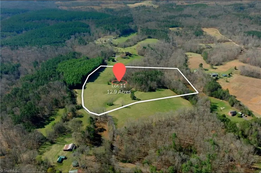 1019-11 George Road, Westfield, NC 27053 - #3