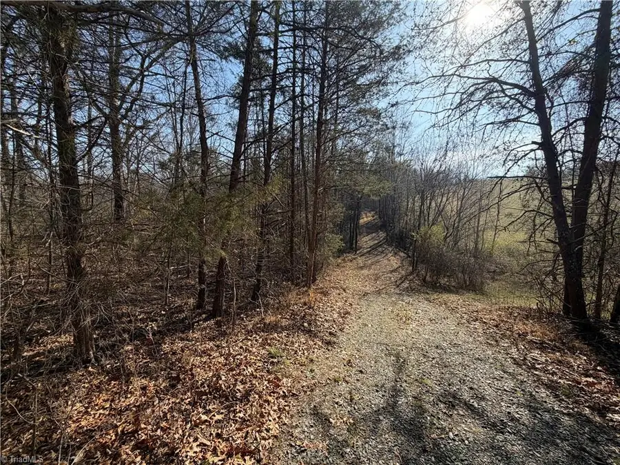 1442 Flippin Road, Mount Airy, NC 27030 - #3