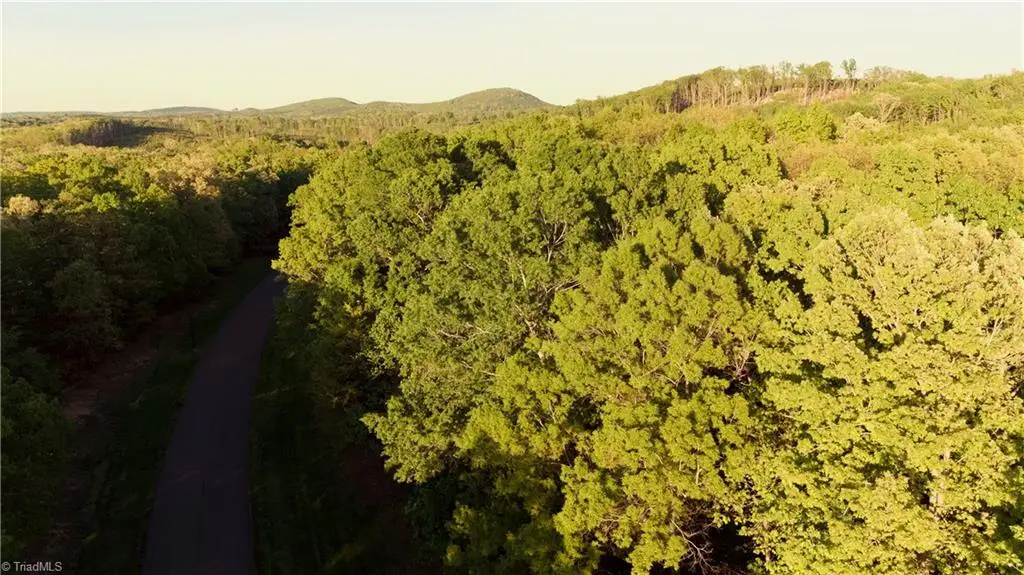 303 Healing Springs Drive, Denton, NC 27239 - #1