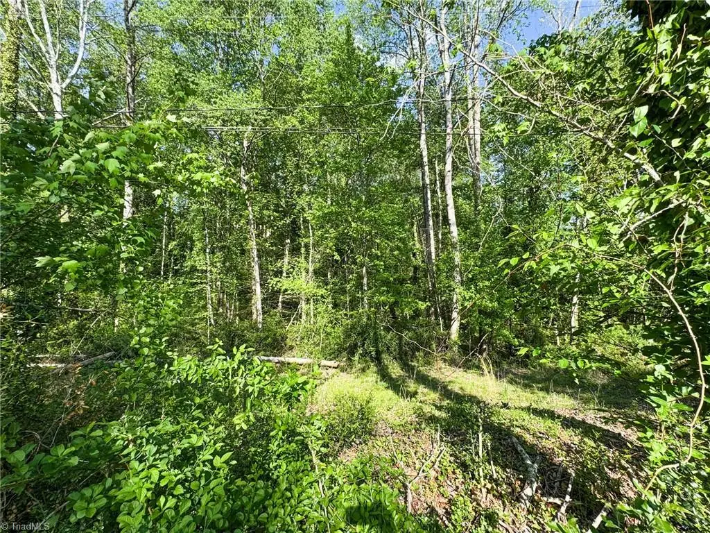 2133 Westminister Lane, Winston Salem, NC 27106 - #1