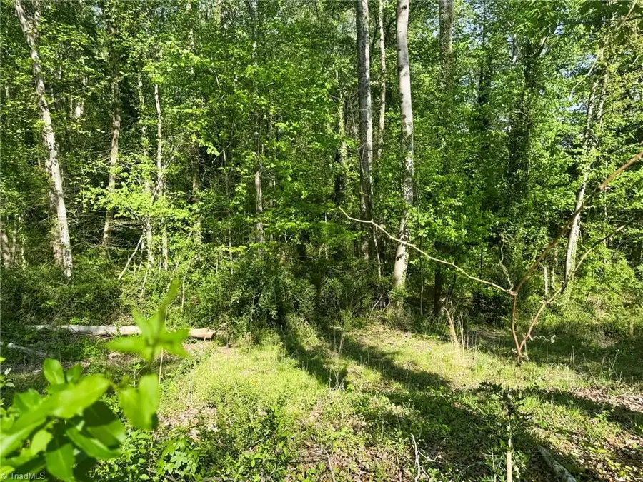 2133 Westminister Lane, Winston Salem, NC 27106 - #3