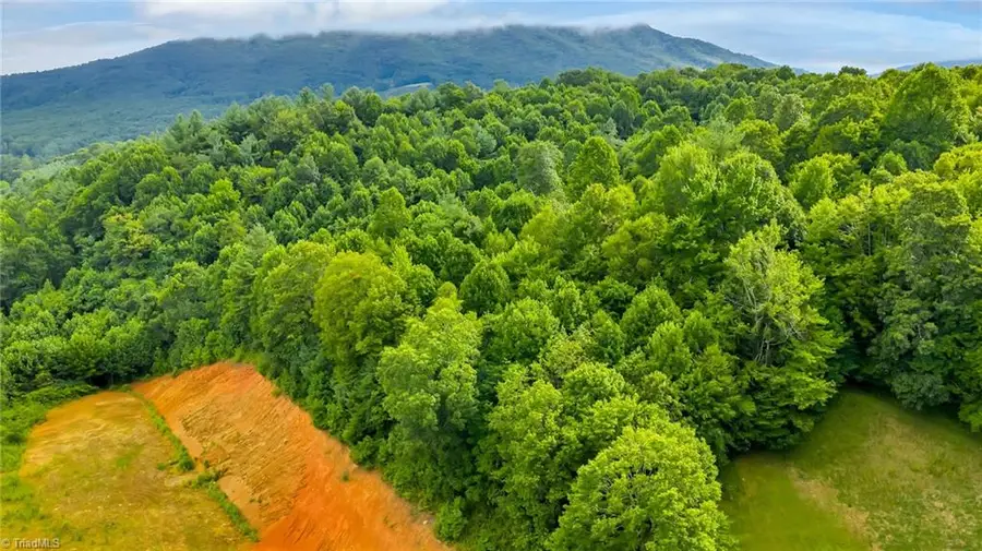 TBD Us Highway 221, Jefferson, NC 28640 - #3