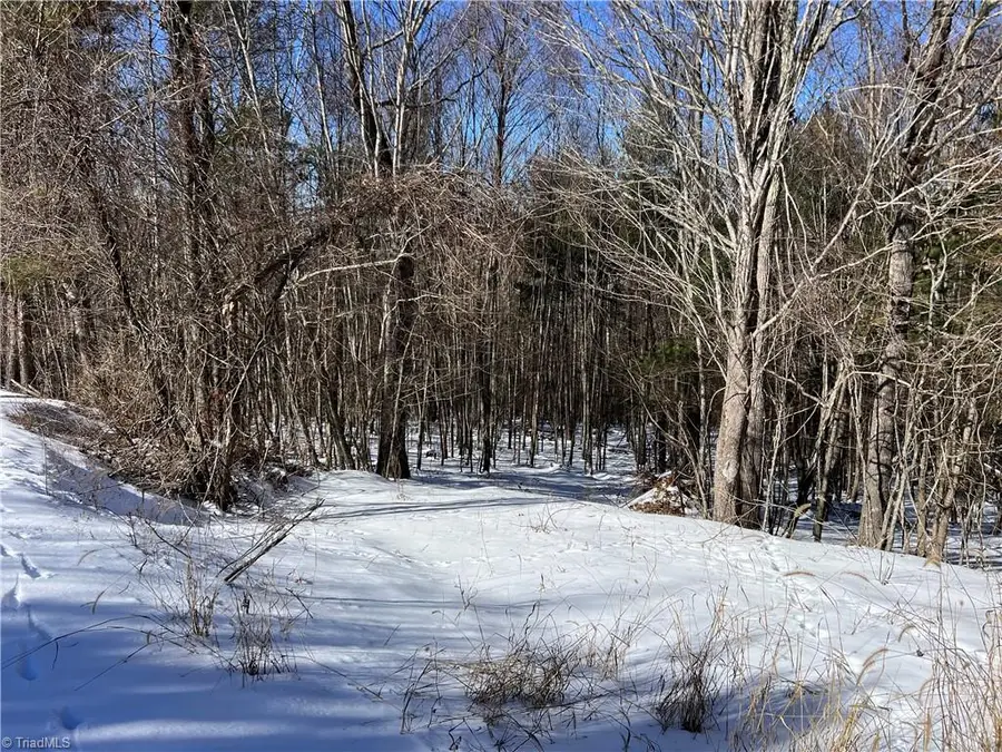 TBD (Lots 13 & 14) Timberwilde Drive, Laurel Springs, NC 28644 - #2