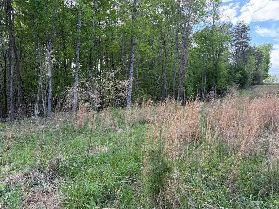 00 S Friendship Road, Germanton, NC 27019 - #2