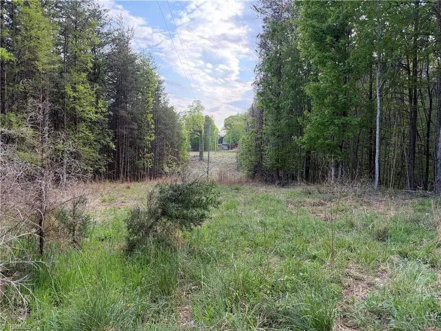 00 S Friendship Road, Germanton, NC 27019 - #3