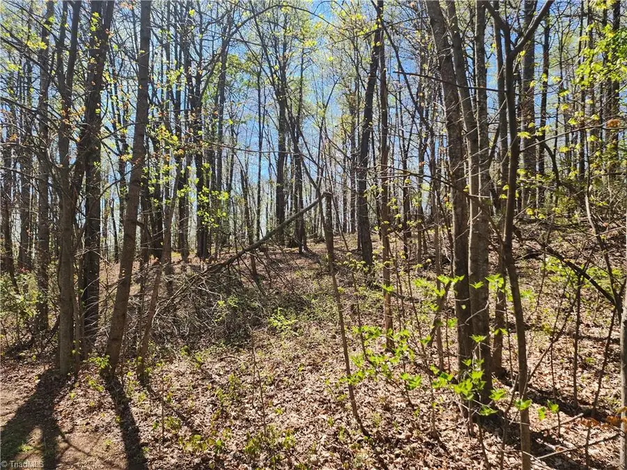 TBD Brushy Mountain Road, Moravian Falls, NC 28654 - #3