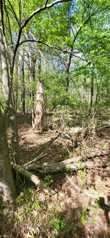 1642 R2 Kersey Valley Road, Archdale, NC 27265