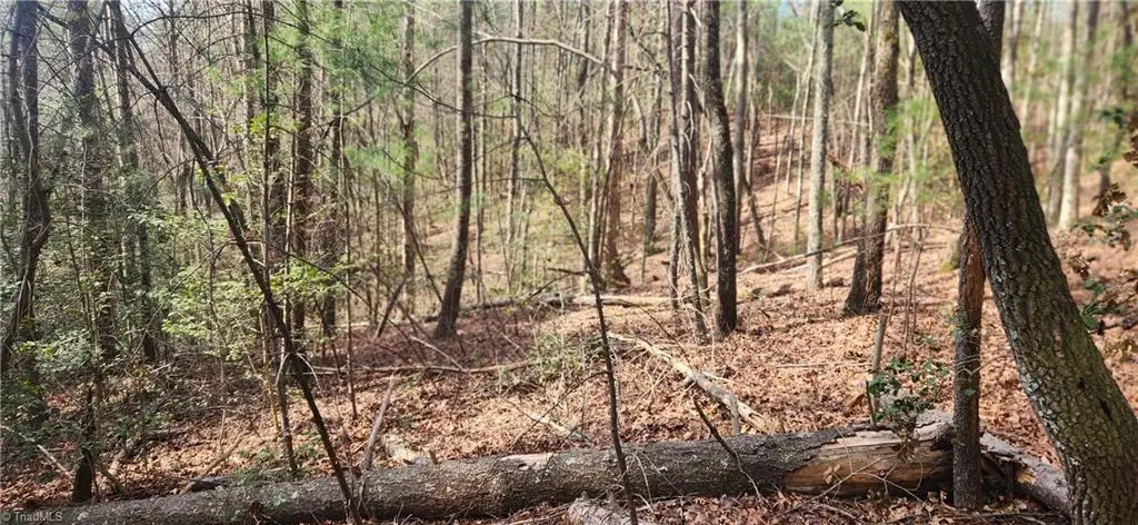 TBD Cane Creek Church Road, McGrady, NC 28649 - #1