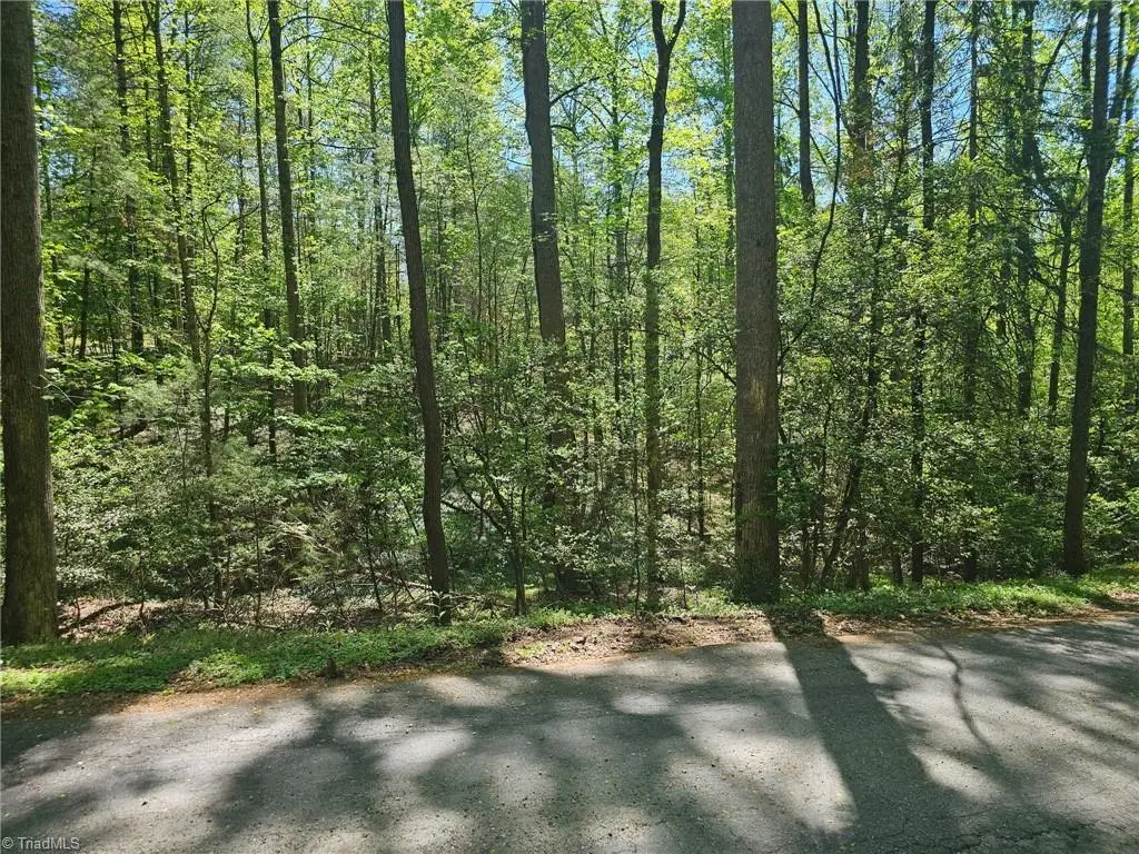 0 Rocky Lane, Wilkesboro, NC 28697 - #1