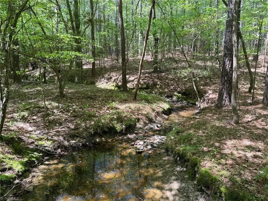 Lot 6 Thompson Road, Seagrove, NC 27341 - #1