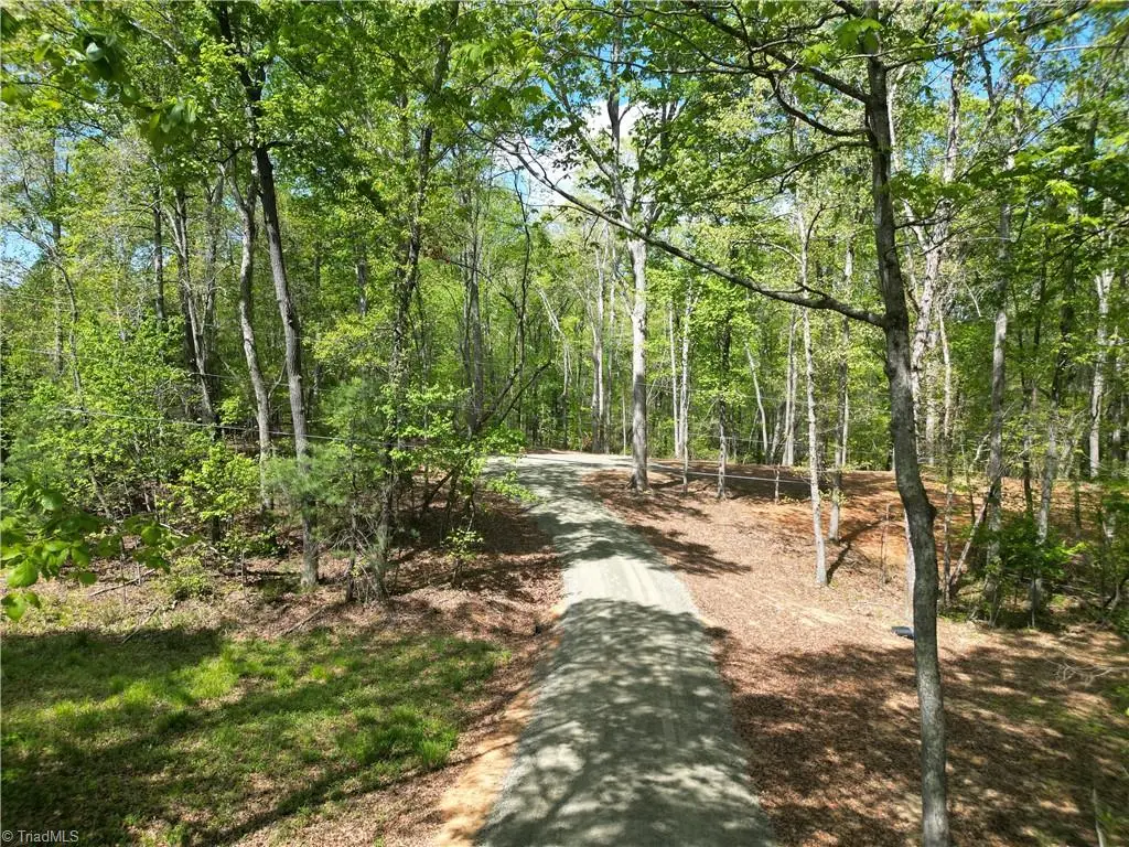 4225 Martins Mill Road, East Bend, NC 27018 - #1