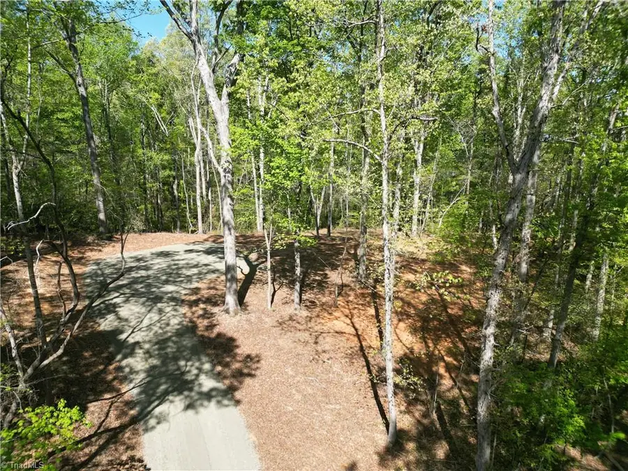 4225 Martins Mill Road, East Bend, NC 27018 - #2