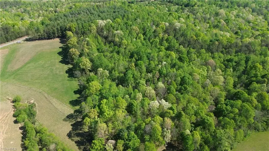 00 Tom Mix Road, Westfield, NC 27053 - #3