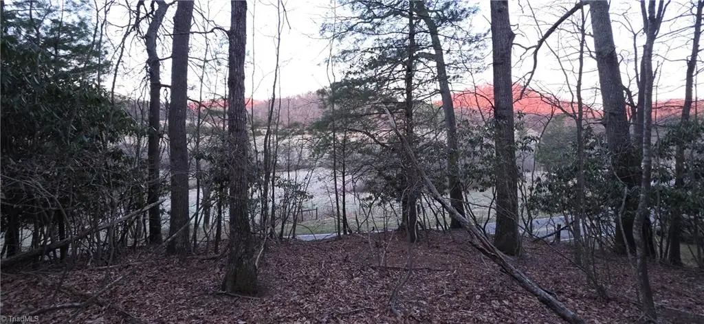 0 Air Bellows Gap Road, Sparta, NC 28675 - #1