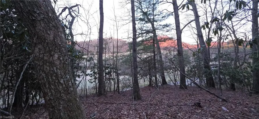 0 Air Bellows Gap Road, Sparta, NC 28675 - #2