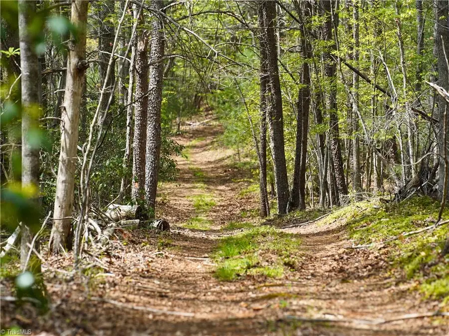 00 Hatchers Chapel Road, Mount Airy, NC 27030 - #2