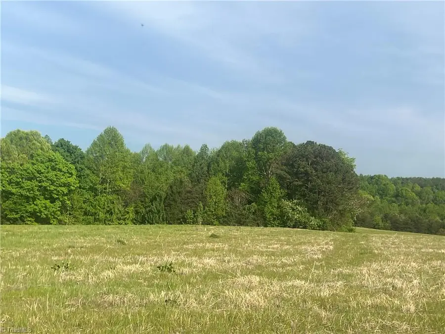 0000 George Chandler Road, Mount Airy, NC 27030 - #2