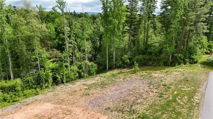Lot 31 Meadowlark Road, Mount Airy, NC 27030 - #3