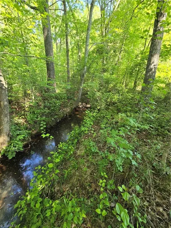 0 Snow Camp Road, Graham, NC 27253 - #2