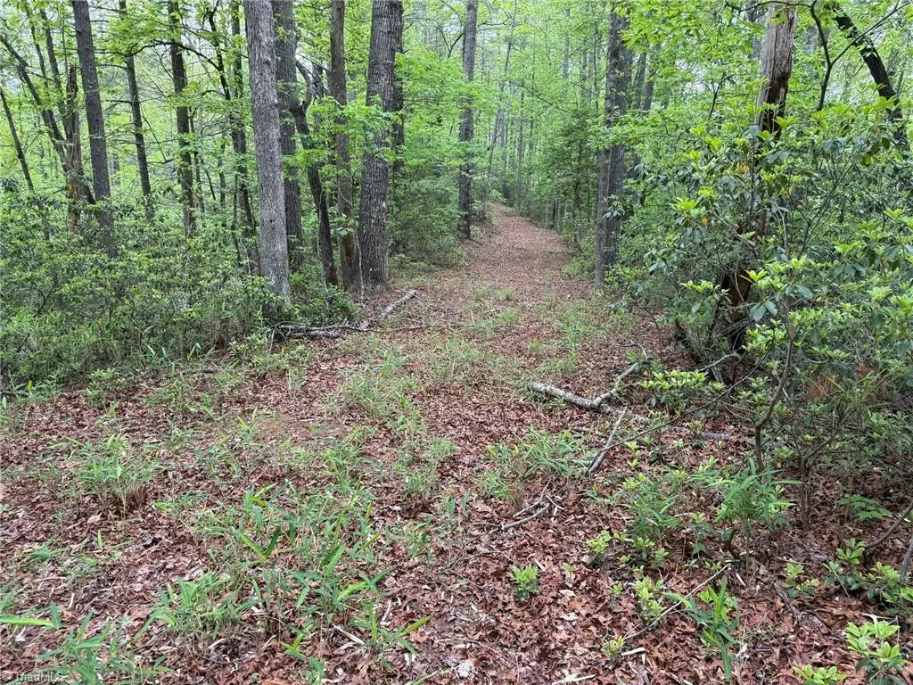 TBD West Ridge Road, Ferguson, NC 28624 - #1