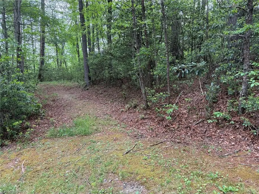 TBD West Ridge Road, Ferguson, NC 28624 - #2