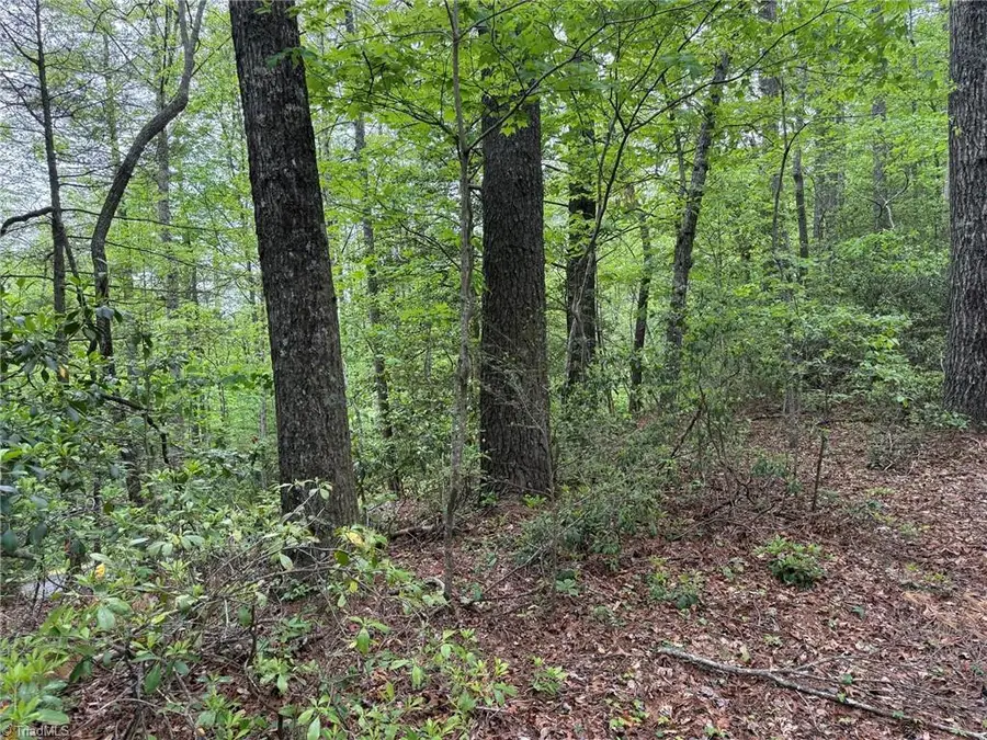 TBD West Ridge Road, Ferguson, NC 28624 - #3