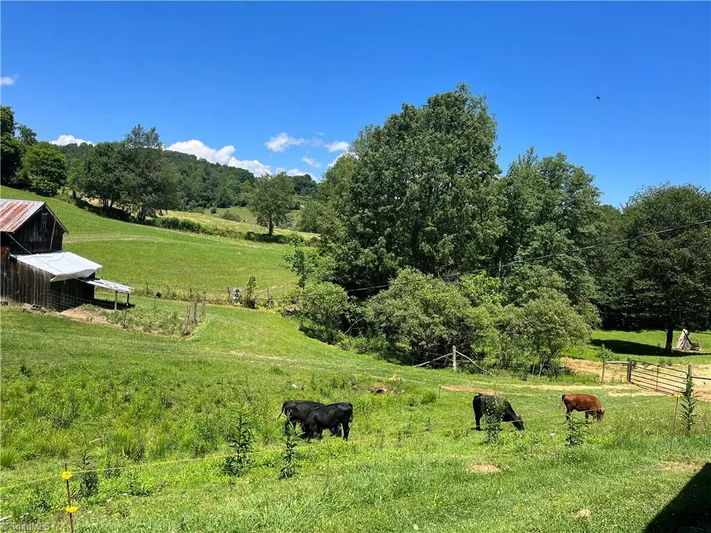 880 Flatwoods Post Office Road, Creston, NC 28615 - #1