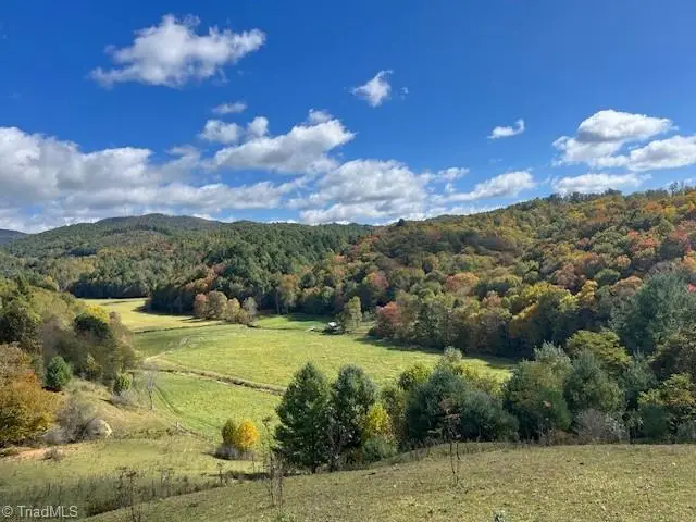 00 Flatwoods Post Office Road, Creston, NC 28615 - #1