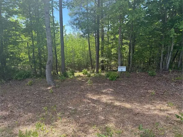 00 Parks Ridge Road, Wilkesboro, NC 28697