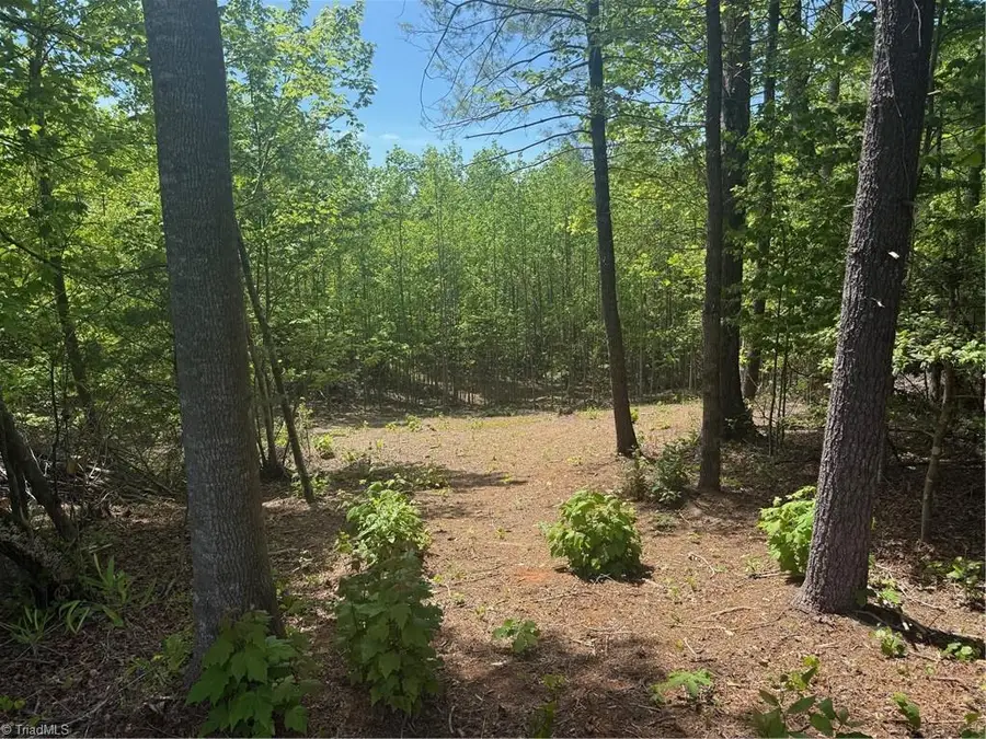 00 Parks Ridge Road, Wilkesboro, NC 28697 - #2