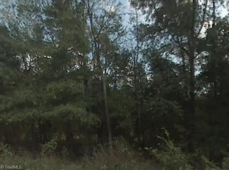 0 Royster Woods Trail, Burlington, NC 27217 - #1