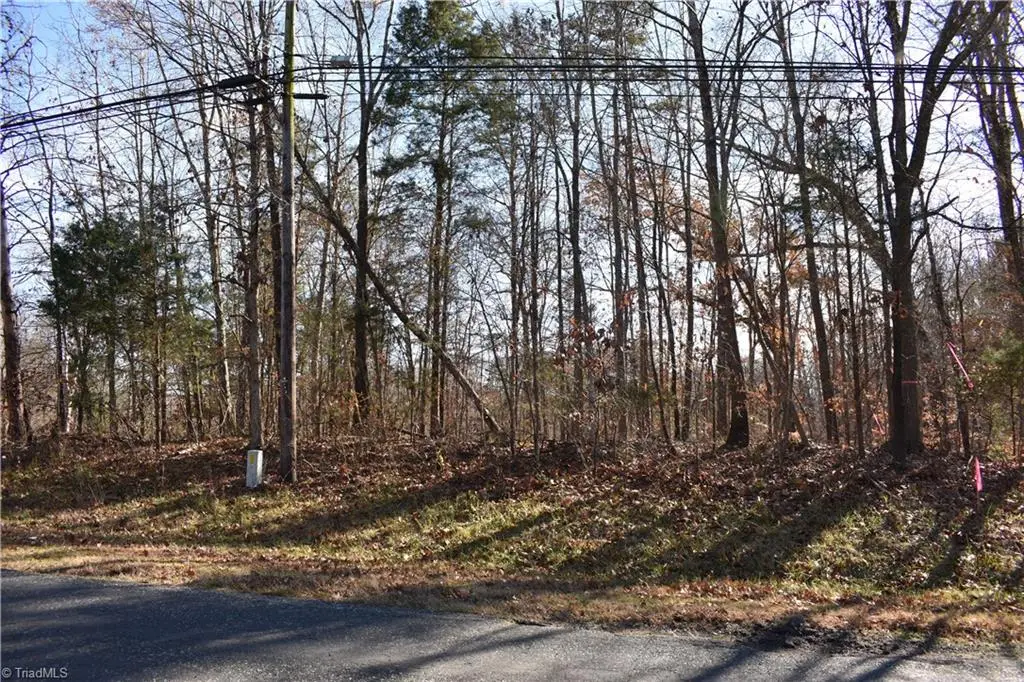 194 Young Drive #New Tract 2, Lexington, NC 27292 - #1