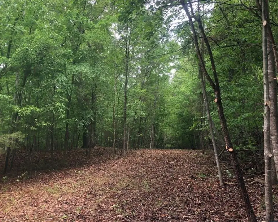 00 Broadview Drive, Pfafftown, NC 27040 - #1