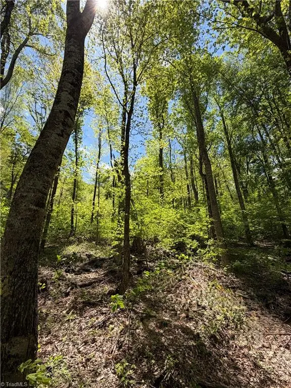 Lot#28 Bluff Ridge Road, West Jefferson, NC 28694 - #1