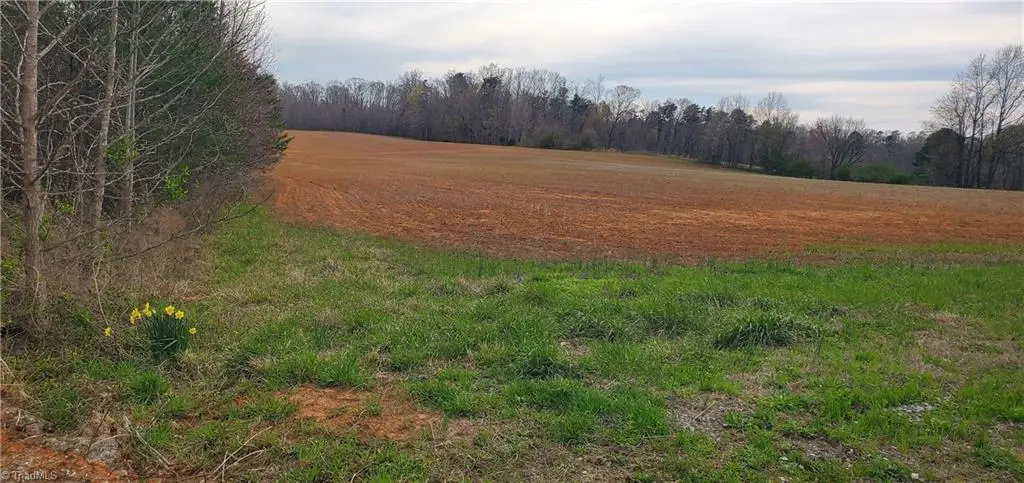0 Sells Farm Road, Abbotts Creek, NC 27107 - #1