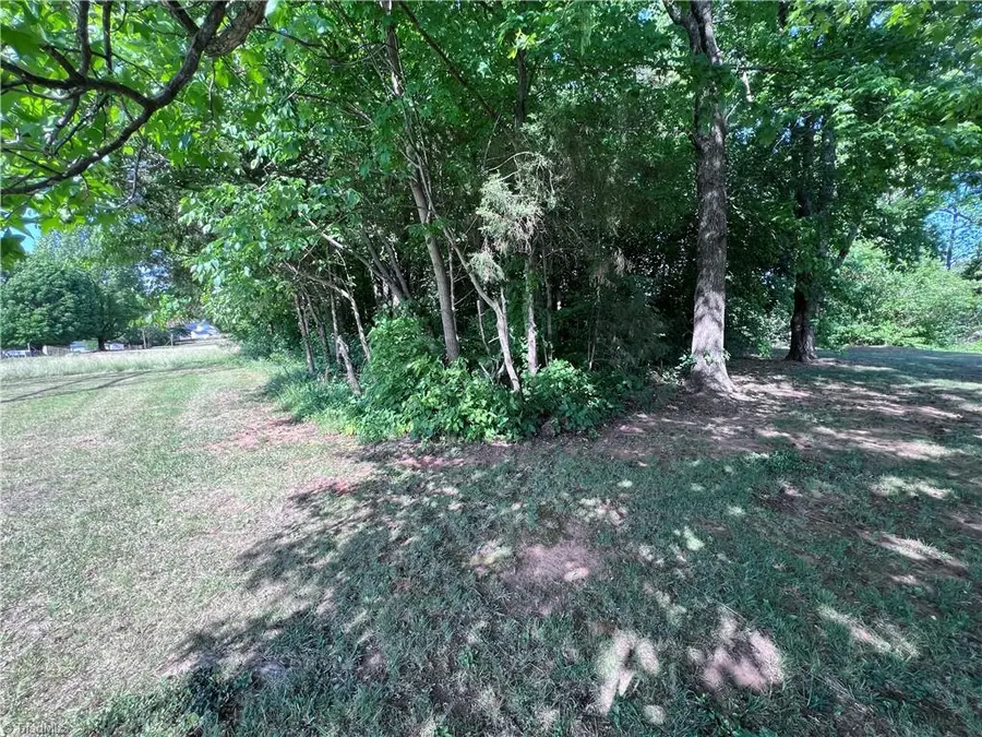 0 County Line Road, Trinity, NC 27370 - #3