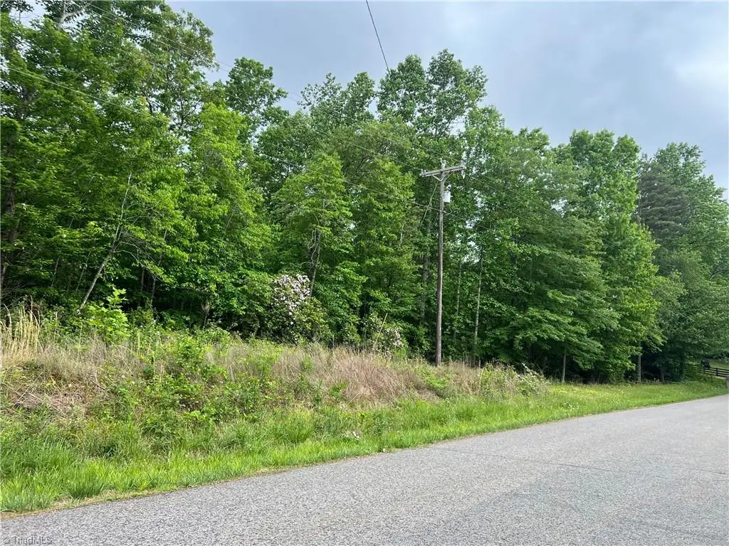 0 Gillespie Street, Dobson, NC 27017 - #1
