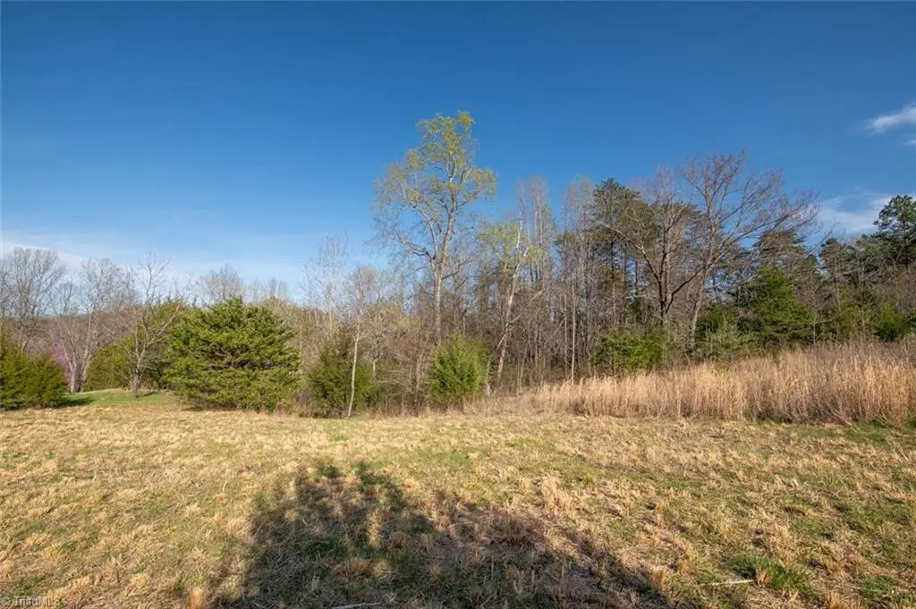 Lot 38 Lake Shore Drive, Yanceyville, NC 27379 - #1