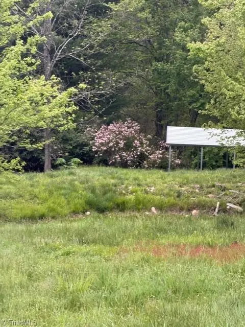TBD Fraser Road, Sparta, NC 28675 - #2