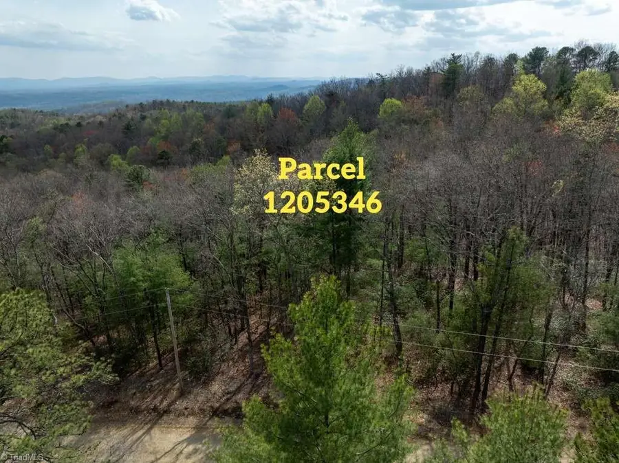 0 Chestnut Mountain Farms Parkway, McGrady, NC 28649 - #2