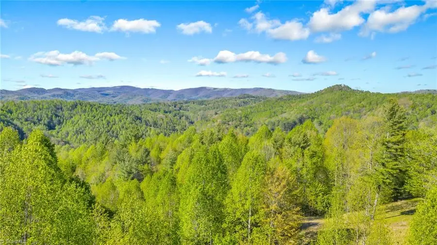 5939 Big Laurel Road, Creston, NC 28615 - #3