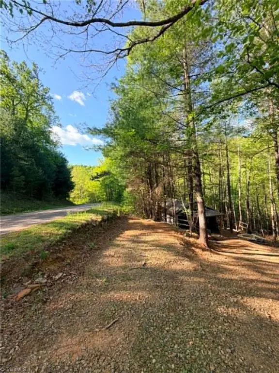 TBD Shoe Road, Millers Creek, NC 28651 - #3