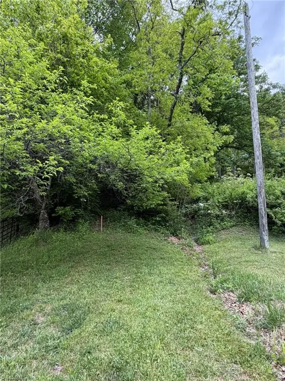 TBD Ben Bolen Road, Creston, NC 28615 - #1