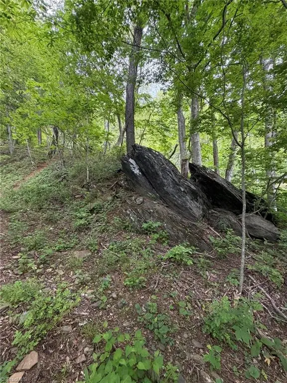 TBD Ben Bolen Road, Creston, NC 28615 - #2