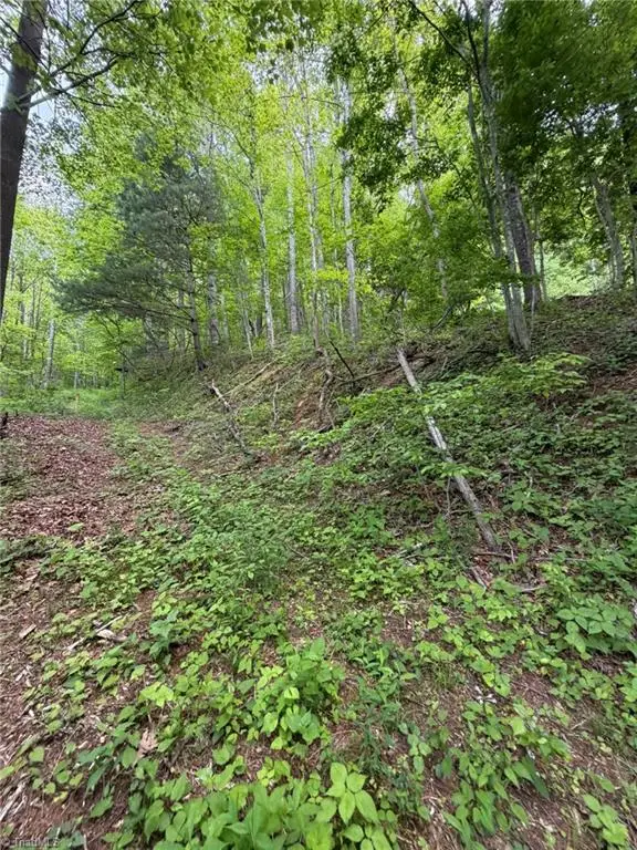 TBD Ben Bolen Road, Creston, NC 28615 - #3