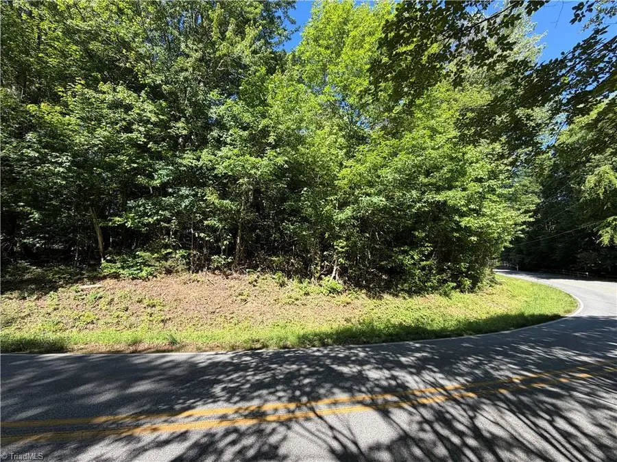 6919 Wooden Rail Lane, Summerfield, NC 27358 - #3